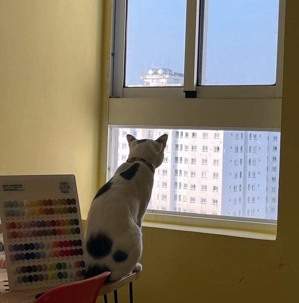 Nguồn cảm hứng từ bản thân