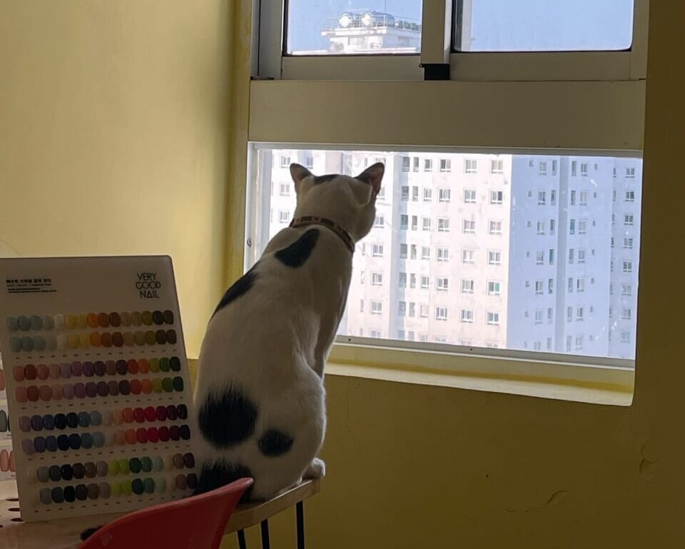Nguồn cảm hứng từ bản thân